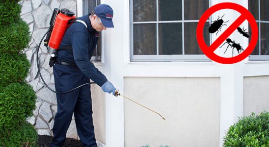 Çağlayancerit Gümüşkurt İlaçlama böcek ilaçlama ve haşere kontrolü — ilaclama-tr.com